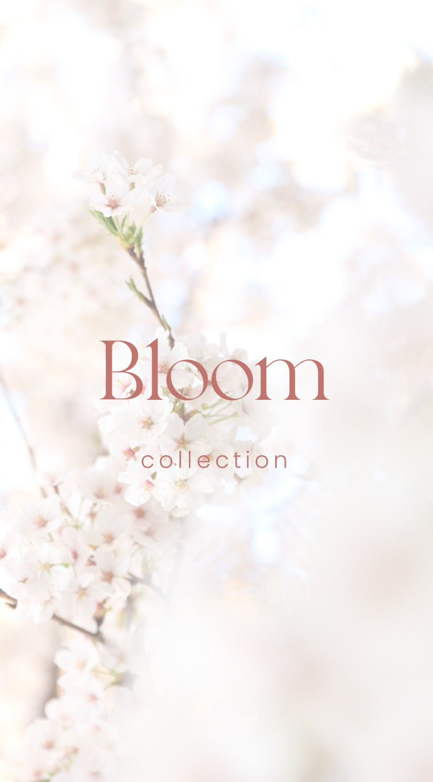 Bloom