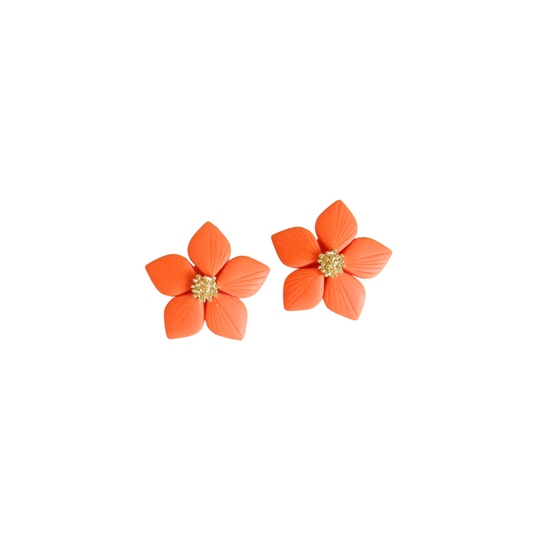 Poinsétia mini
